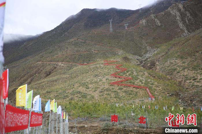 圖為拉薩南北山綠化工程拉薩曲水縣才納村5號片區?！∝暣_ 攝