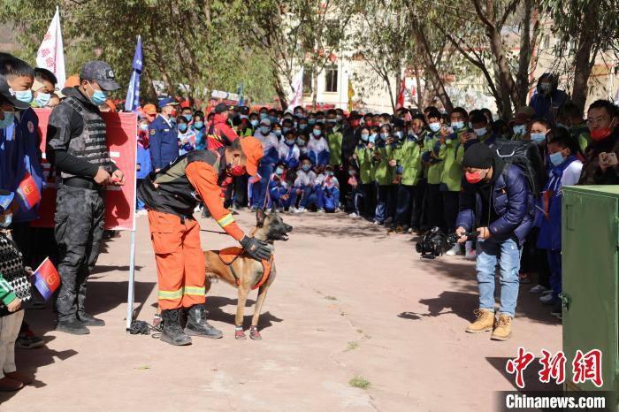 圖為搜救犬服從和箱體搜救演練。　趙琳 攝