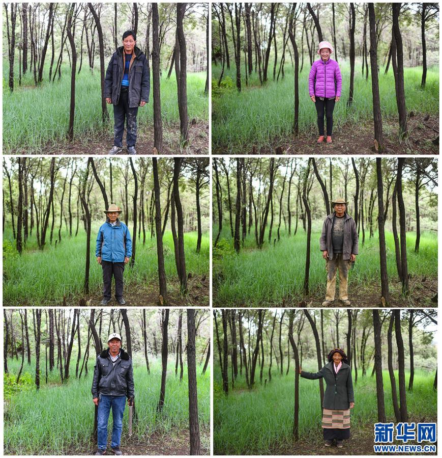 （新華全媒頭條·圖文互動）（7）莊重的承諾　歷史的奇跡——西藏自治區決戰脫貧攻堅紀實