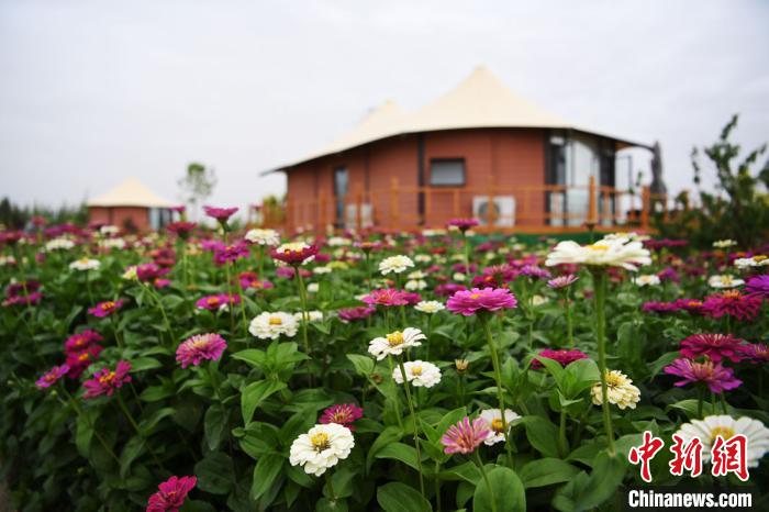 甘肅鄉村冀“四老”資源用“美麗”戰勝貧困