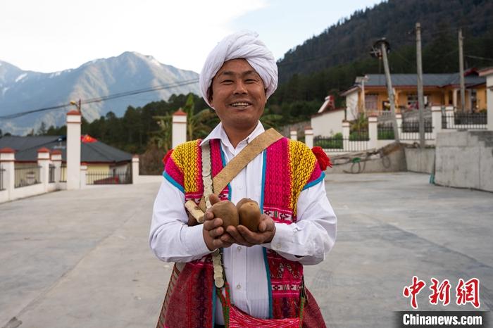 1月29日，京都村委會主任阿胖正在展示該村種植的獼猴桃。<a target='_blank' ><p  align=