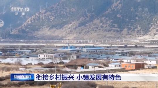 種蘑菇、養駱駝...。。特色產業助力鄉村振興走新路