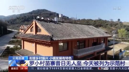 種蘑菇、養駱駝...。。特色產業助力鄉村振興走新路