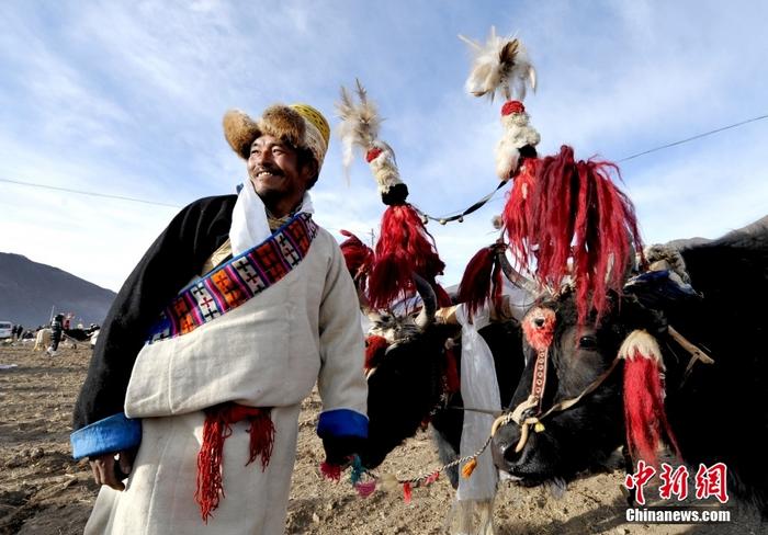 資料圖為2013年3月16日，拉薩市堆龍德慶區德慶村的農民牽著牦牛參加春耕儀式，按照傳統方式由牦牛開第一犁。 <a target='_blank' href='/'><p  align=