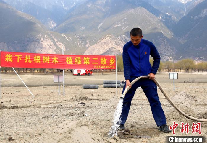 林芝市巴宜區(qū)森林消防中隊志愿服務(wù)隊澆水灌溉。　西繞拉翁 攝