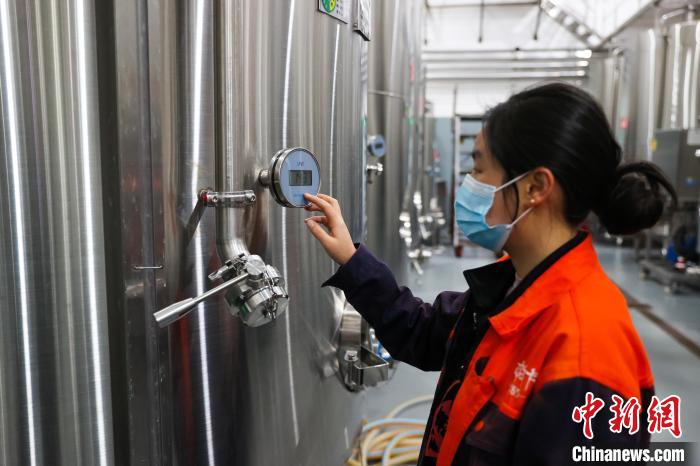 西藏芒康：葡萄種植成當地民眾致富重要途徑