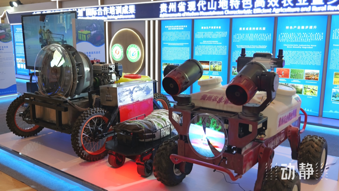 展示成果分享經驗，中國—東盟教育交流周深化合作共創未來！