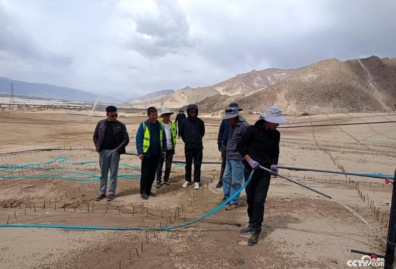 拉薩南北山綠化工程貢嘎段11號片區開展生態修復工程（主辦方供圖）