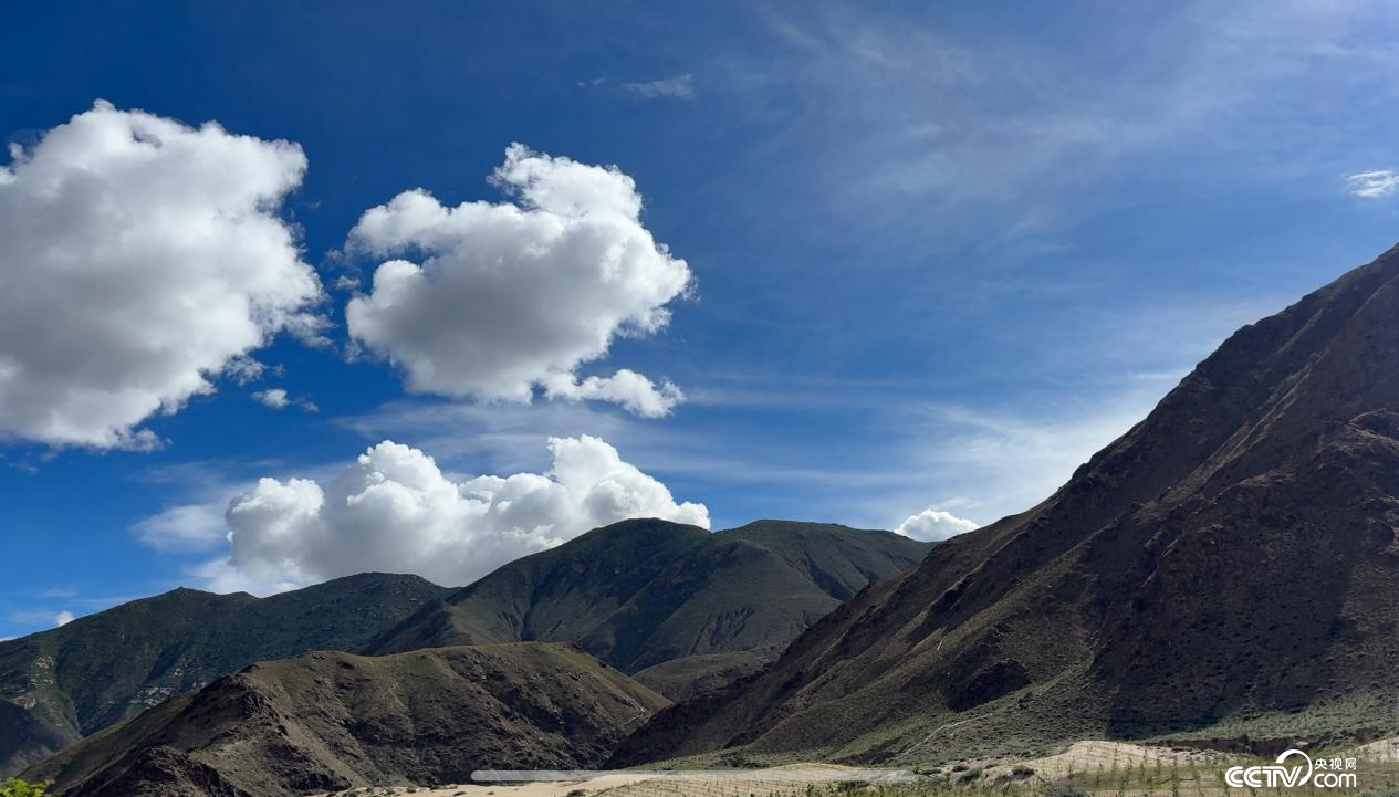 拉薩南北山綠化工程貢嘎段11號片區（攝影 李婷婷）